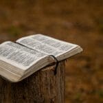Biblijne imiona Boga: co mówią o Jego bliskości i miłosierdziu Otwarta Biblia leżąca na pniu drzewa wśród natury